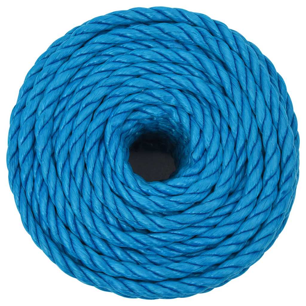 vidaXL Werktouw 10 mm 50 m polypropeen blauw - Afbeelding 3