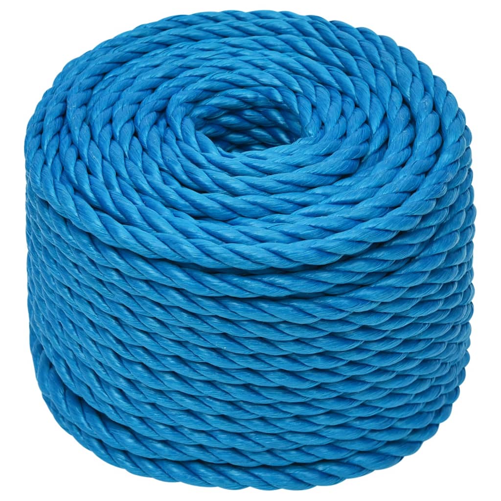 vidaXL Werktouw 12 mm 25 m polypropeen blauw