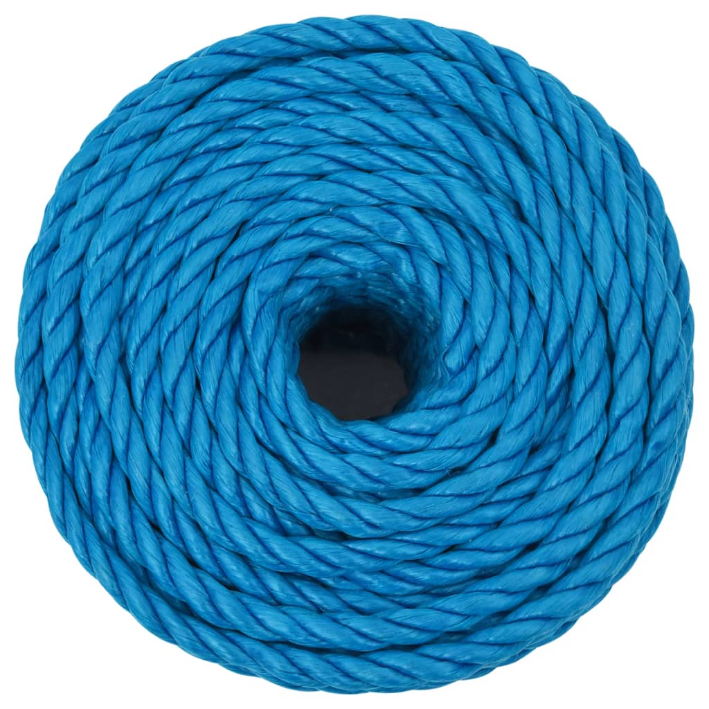 vidaXL Werktouw 12 mm 25 m polypropeen blauw - Afbeelding 3