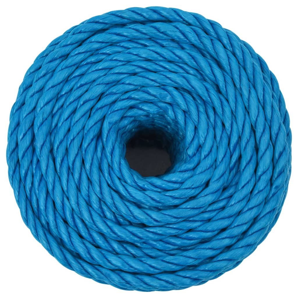 vidaXL Werktouw 20 mm 100 m polypropeen blauw - Afbeelding 3