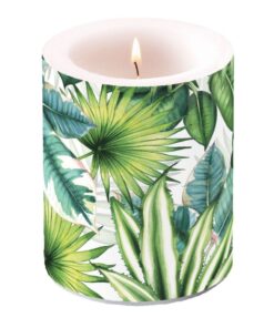 Ambiente Stompkaars Tropische Bladeren 75 Branduren 10x12 cm