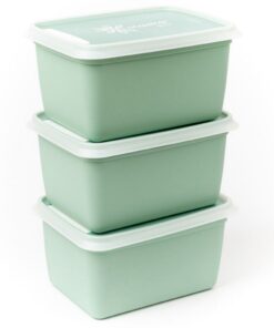 DBP Alaska Diepvriesdozen Rechthoekig 1L 3 Stuks Mintgroen