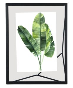 Hama Portretlijst Baltimore Zwart 10 X 15 Cm