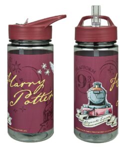 Harry Potter Drinkbeker 500 ml Rood/Transparant