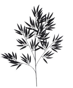 Kunstblad Bamboo Spray Mat Zwart 98cm