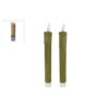 LED Kaarsen + Afstandsbediening 2 Stuks Groen