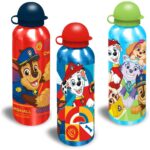 Paw Patrol Drinkfles 500 ml Verschillende Uitvoeringen