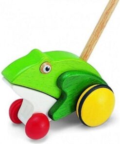 Pintoy Houten Duwstok Kikker