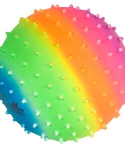 Rainbow Noppenbal 20 cm