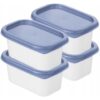 Rotho Domino Diepvriesdozen 4x0.2L Horizon Blauw/Wit