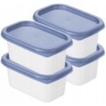 Rotho Domino Diepvriesdozen 4x0.2L Horizon Blauw/Wit
