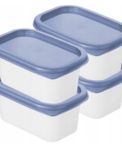 Rotho Domino Diepvriesdozen 4x0.2L Horizon Blauw/Wit