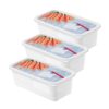 Rotho Domino Diepvriesdozen Etiket Decor 3x1.2L Wit