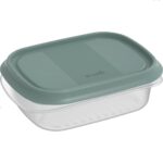 Rotho ELEMENTS Koelkast Bewaardoos 16x12x5 cm 0.5L Mistletoe Groen/Transparant