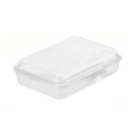 Rotho Fun Lunchbox 0.45L Transparant
