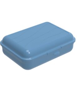 Rotho Fun Lunchbox 1.25L Horizon Blauw