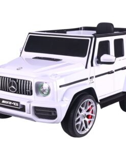 12 volt accu voor elektrisch rijdend speelartikel