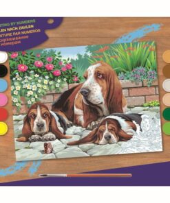Schilderen op Nummer Basset Honden