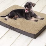 Sun Garden Buddy Orthopedisch Hondenkussen 72x50x8cm Beige/Donkerbuin