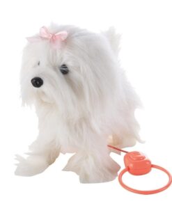 Wandelende Hond met Riem