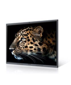 Videowall Monitor Maxhub C7530 4K Ultra HD 75"