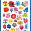 Avery AV-54304 Papieretiket Z-design Creative Pakje A 3 Vel Bloempjes
