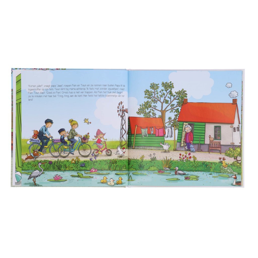 Boek Fien en Teun En De Bijzondere Bijtjes - Afbeelding 2