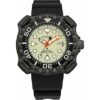 Horloge Heren Citizen BN0227-25X