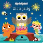 Lichtjesboek Uil is Jarig