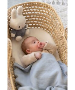 Alternative view of Nijntje Fluffy Knuffel 25 cm Blauw