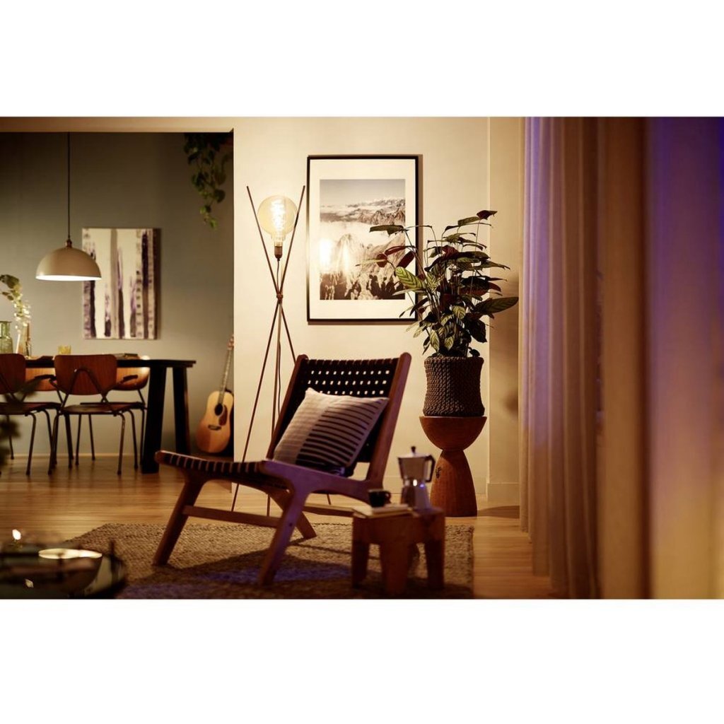 Philips Vintage LED Dimbare Globe G95 E27 60W Amberkleurig Glas - Afbeelding 2