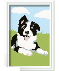 Ravensburger CreArt Schilderen op Nummer Border Collie - Afbeelding 2