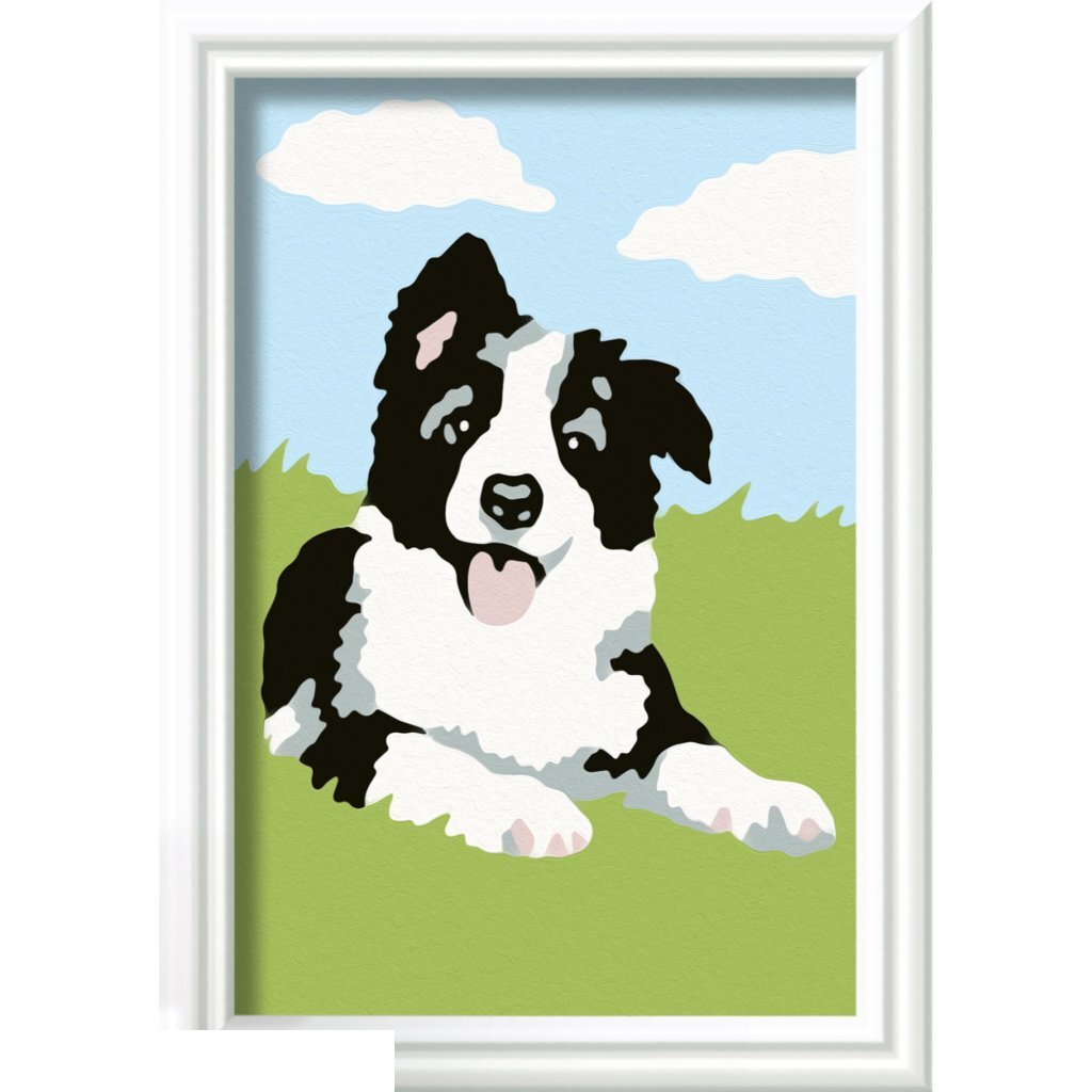 Ravensburger CreArt Schilderen op Nummer Border Collie - Afbeelding 2