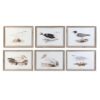 Schilderij DKD Home Decor 70 x 2,5 x 50 cm Traditioneel Vogels (6 Onderdelen)