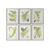 Schilderij Home ESPRIT Modern Vaatplant 50 x 2,5 x 65 cm (6 Stuks)