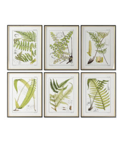 Schilderij Home ESPRIT Modern Vaatplant 50 x 2,5 x 65 cm (6 Stuks)