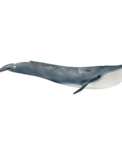 Schleich Blauwe Walvis