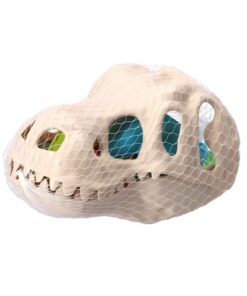Strandset Dino