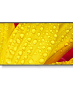 Videowall Monitor NEC 60006085 4K Ultra HD 50"