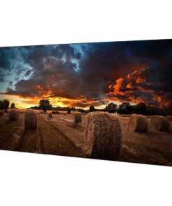 Videowall Monitor Samsung LH46VMBUBGBXEN LFD Full HD 46" 46"