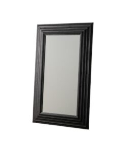 Wandspiegel Zwart 120 x 8 x 196 cm