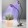Xavax LED Plantenlamp Circle