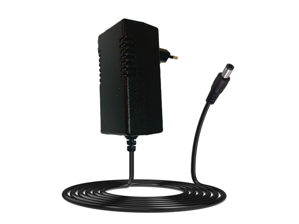 24V 1000Ma Oplader met een Ronde Plug