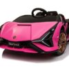 Lamborghini Sian, 12V Elektrische Kinderauto met Vleugeldeuren – roze