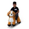 PetRide Funz Select, Elektrisch Rijdende Hond